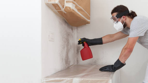 Professional Crawl Space Mold Remediation technician working in Lexington, WA